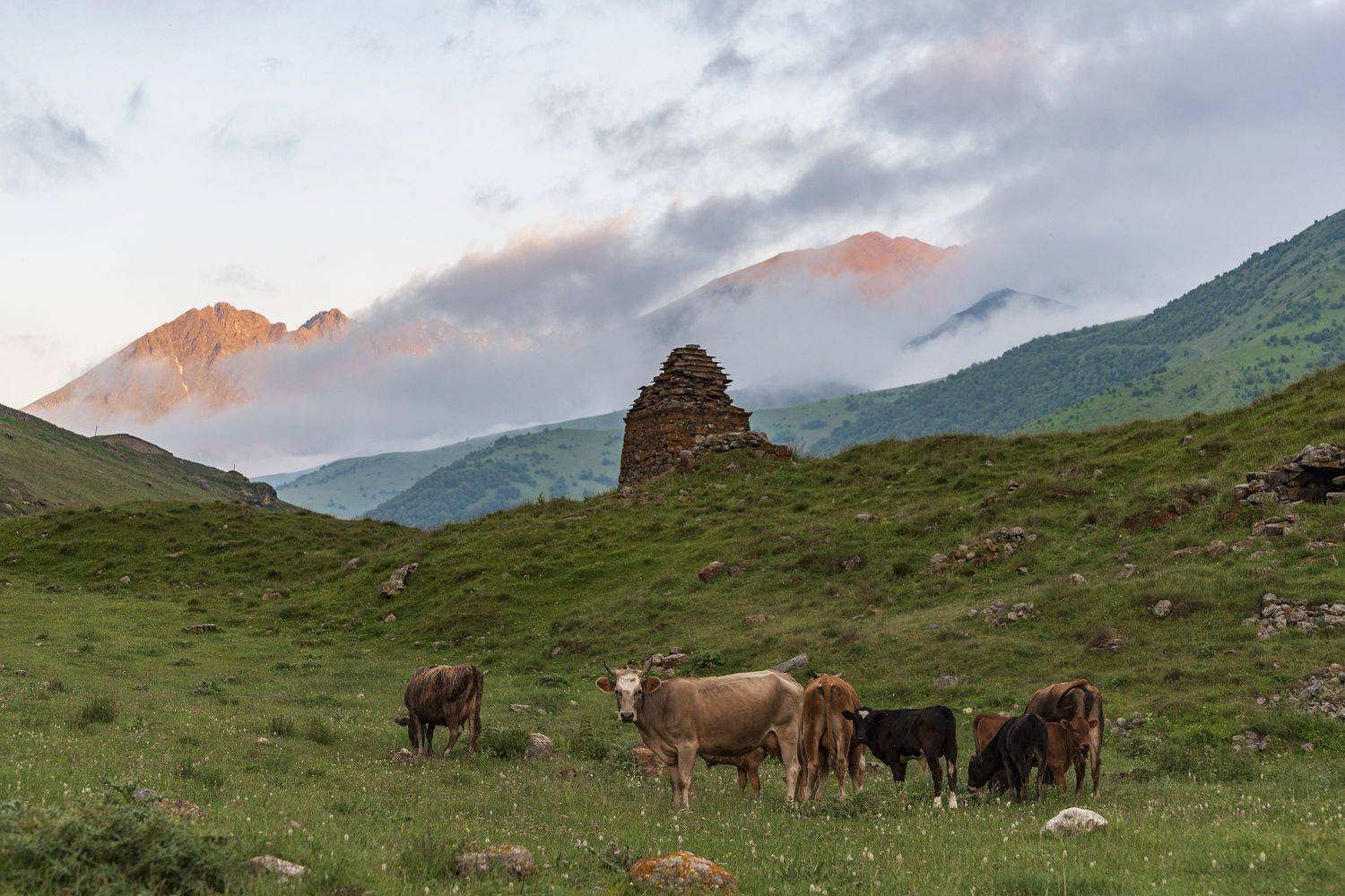 Вечер в Дигории. Автор: Дмитрий Новоселов , Дмитрий Новоселов