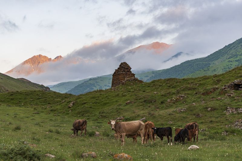 Вечер в Дигорииphoto preview