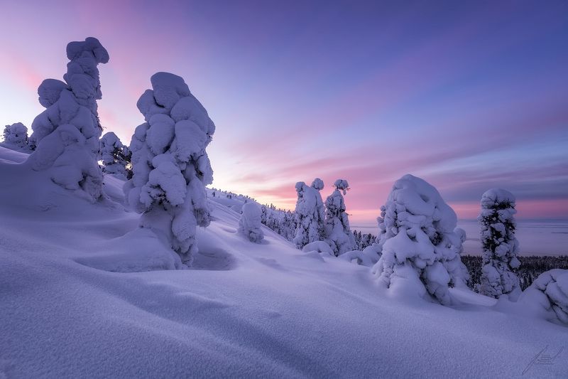 Бодрящее утро фото превью