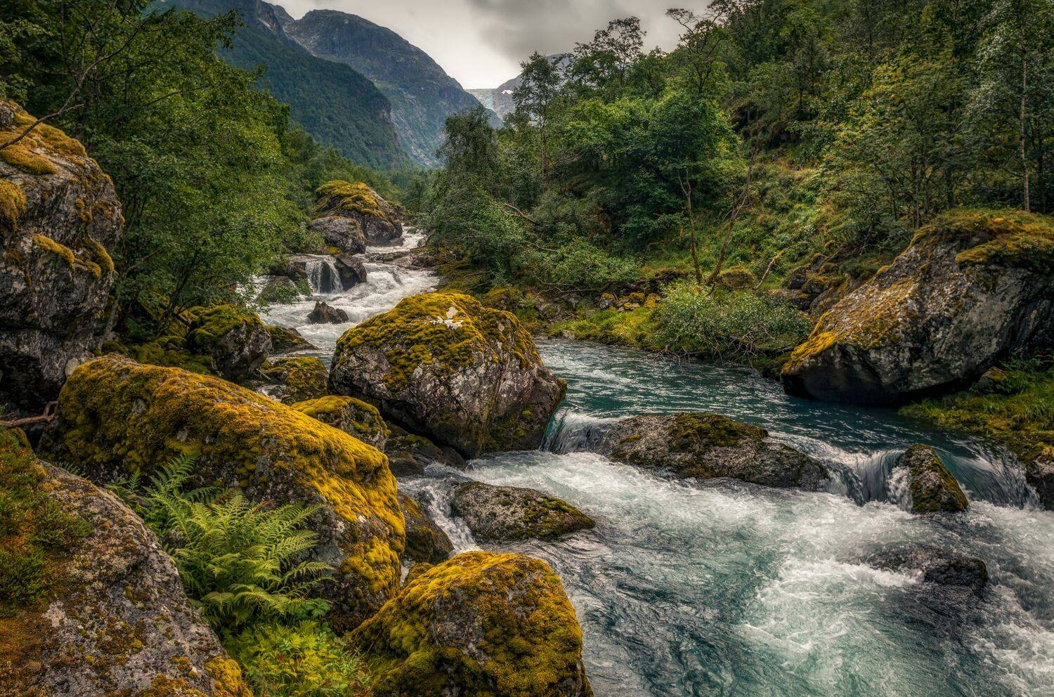 бурная. Автор: Александр Безмолитвенный , Александр Безмолитвенный