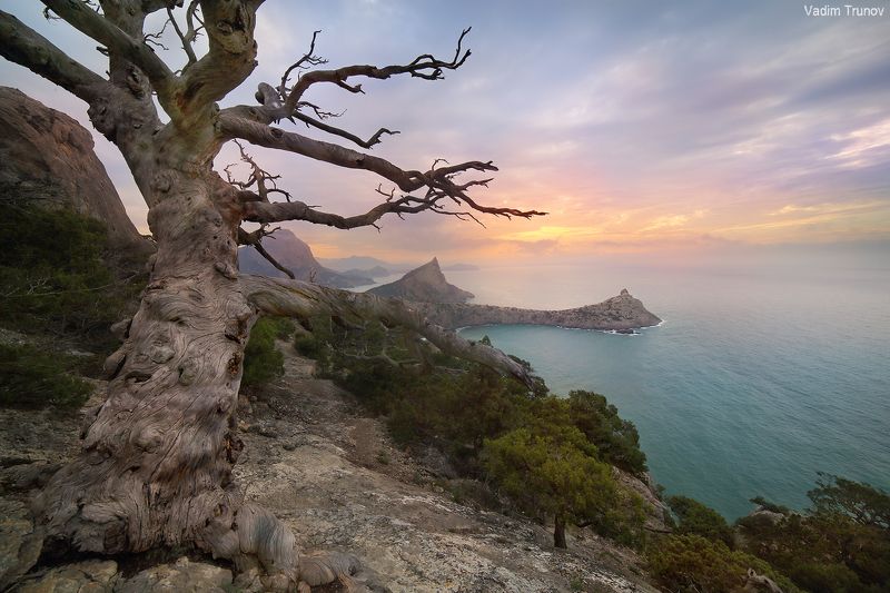 крым, новый свет Новый Свет фото превью