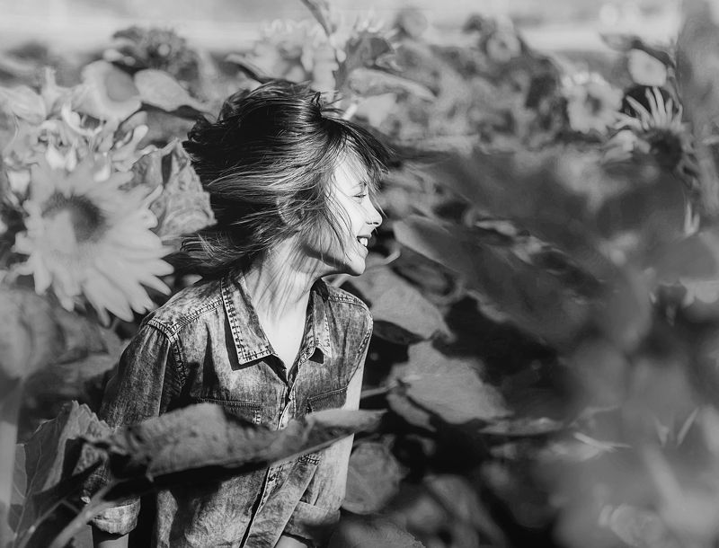 В подсолнухахphoto preview