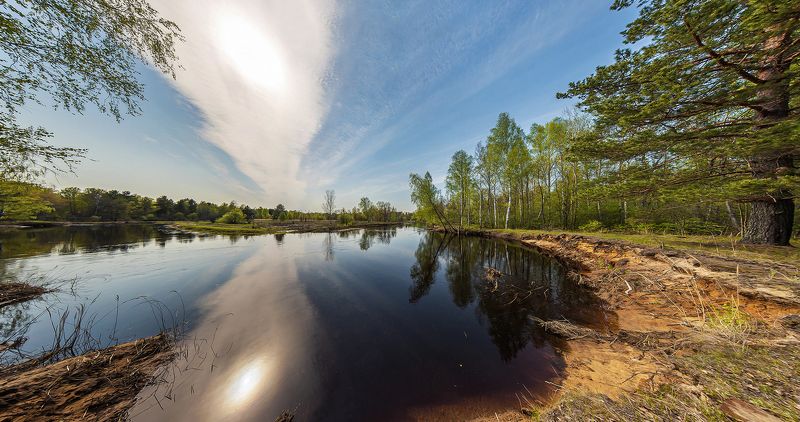 половодье, большая вода, лесная река, весна, молодая зелень, мещёра, рязанская область Pro динамику Мещерской весныphoto preview
