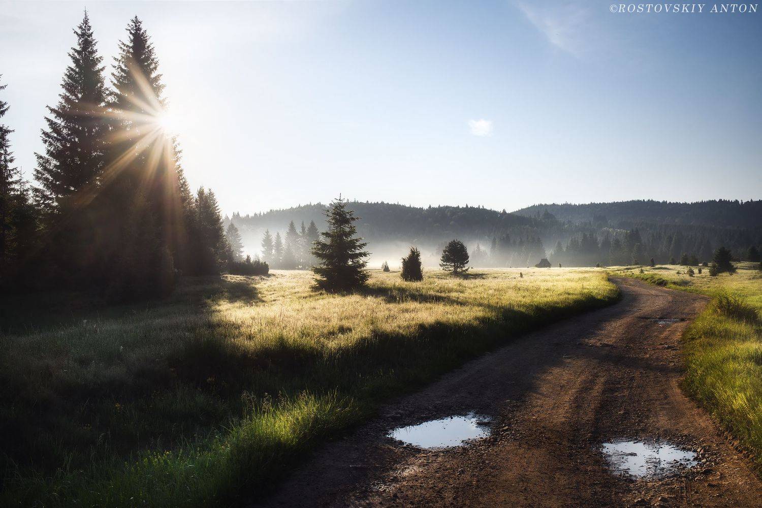 Сербия, утро, туман, Тара, фототур, фотопутешествие, , Антон Ростовский