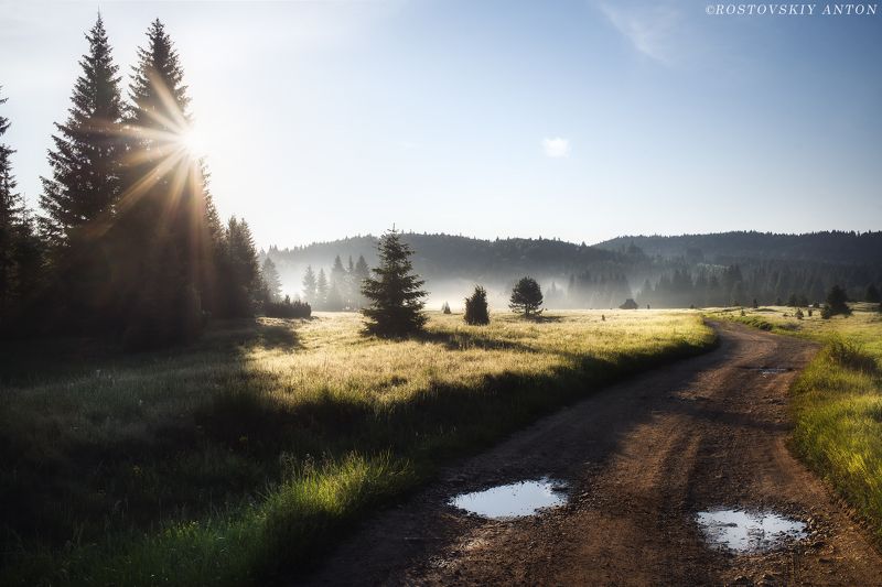 Сербия, утро, туман, Тара, фототур, фотопутешествие,  Утро в парке Тара, Сербия.photo preview