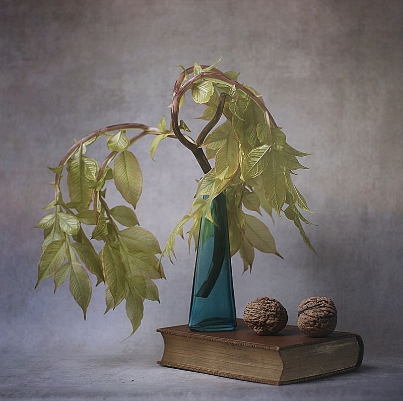 martwa natura, obraz, orzechy, bukiet, książka z orzechamiphoto preview