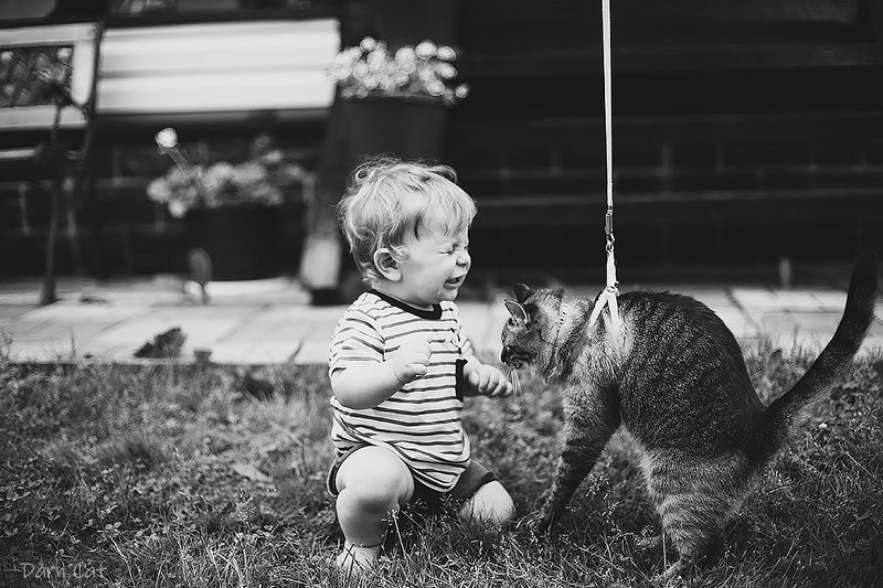 история, кошка, малыш, эмоции, черно-белое, настроение, лето, знакомство, вместе Федор и Боня. История любвиphoto preview