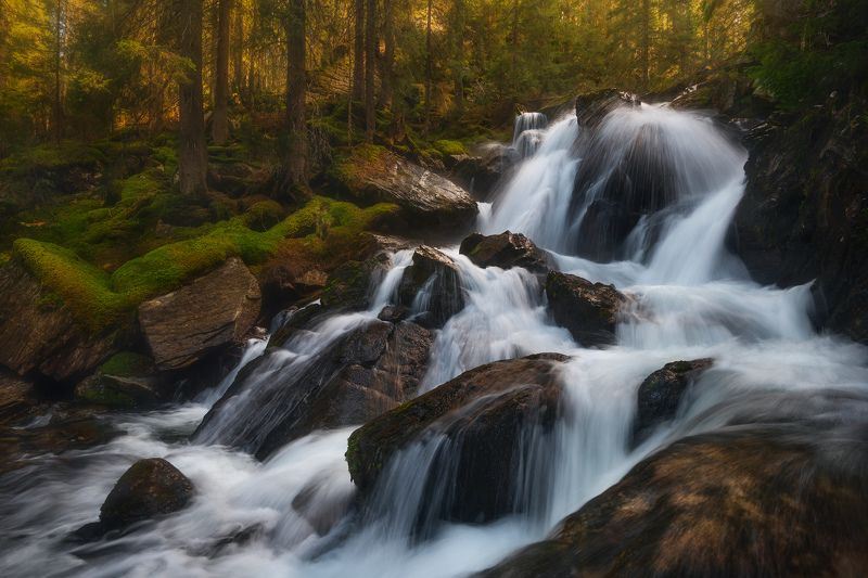 Gold rushphoto preview