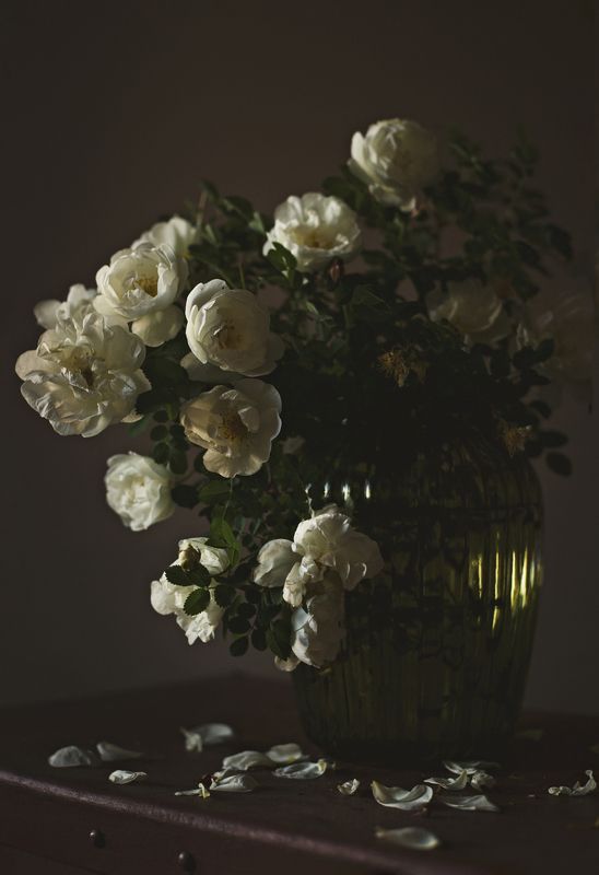 шиповникphoto preview