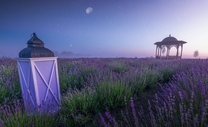 фвп ЕФІЕФІВЕ3йввЙ3ВйцвІФphoto preview