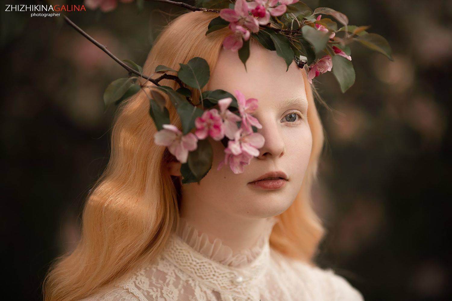 девушка, лицо, портрет, цветение, блондинка, portrait, face, beauty, girl, фотограф, москва, Галина Жижикина