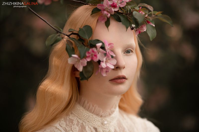 девушка, лицо, портрет, цветение, блондинка, portrait, face, beauty, girl, фотограф, москва Яблоня в цветуphoto preview