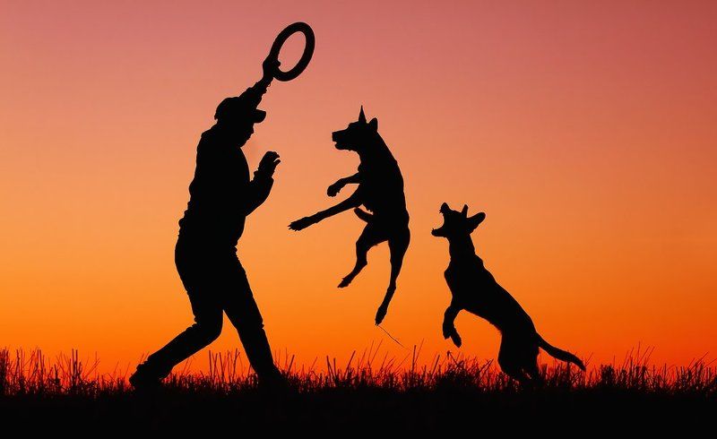 Игры на закатеphoto preview