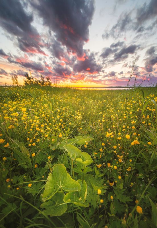 югра, хмао, ханты-мансийский автономный округ ***photo preview