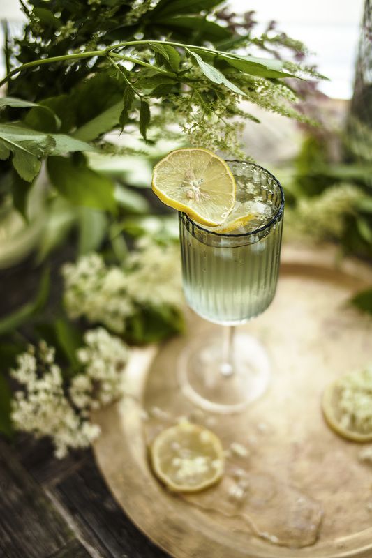 бузинаphoto preview