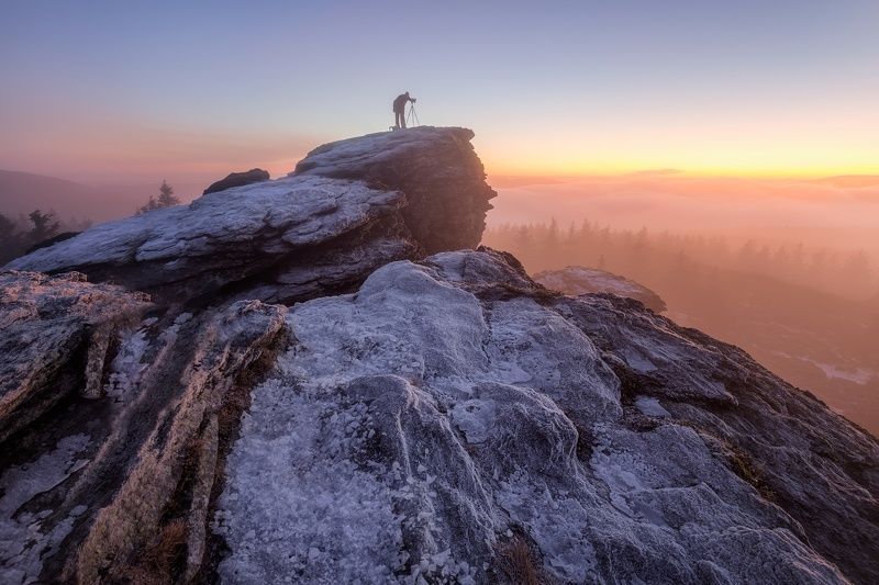 landscape, tree, sunrise, panorama The Moment of Sunrisephoto preview