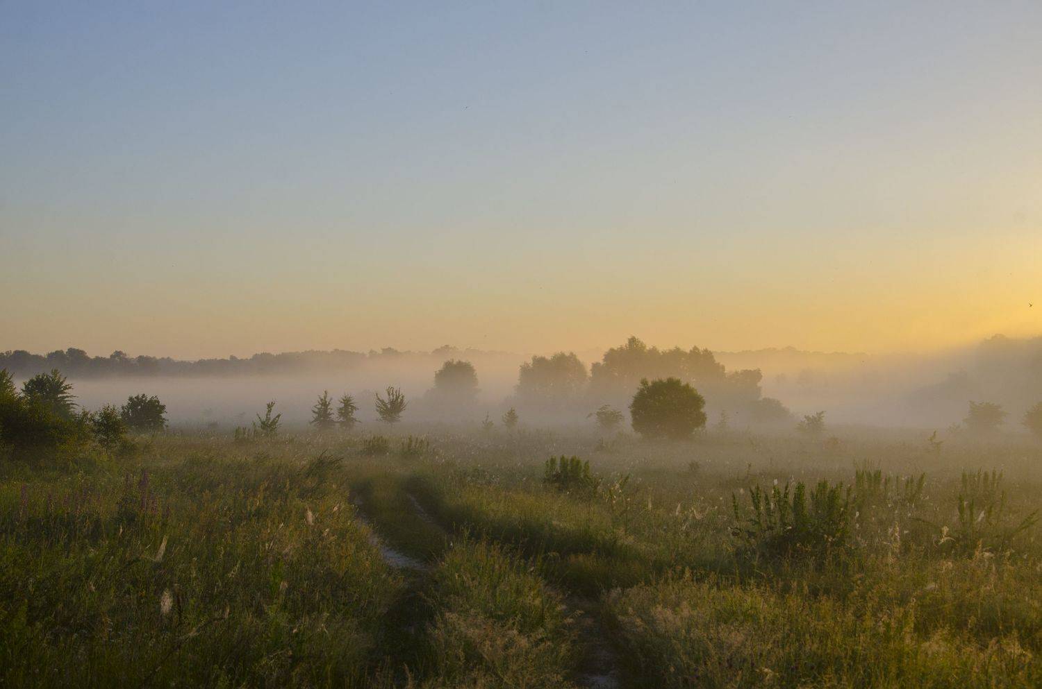 Утренний релакс. Автор: Александр Березуцкий природа. туман. утро, Александр Березуцкий