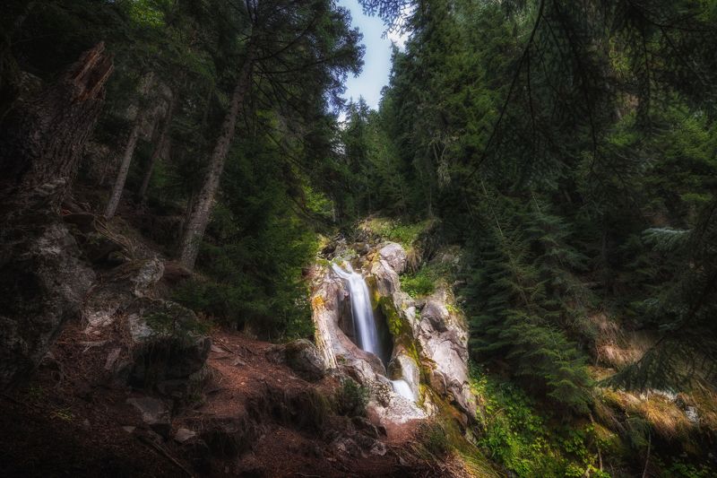 пейзаж, горы, кавказские горы, архыз, природа россии Свет в тёмном лесуphoto preview