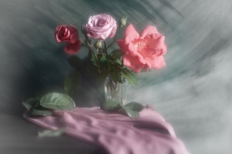 розы Про розы с шифономphoto preview