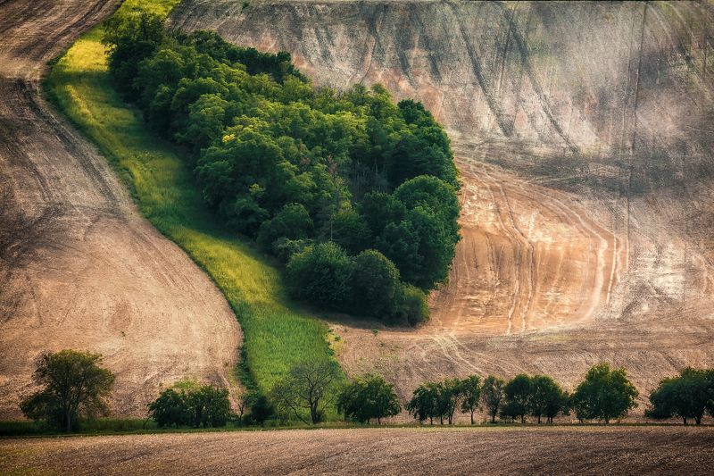 Morava фото превью
