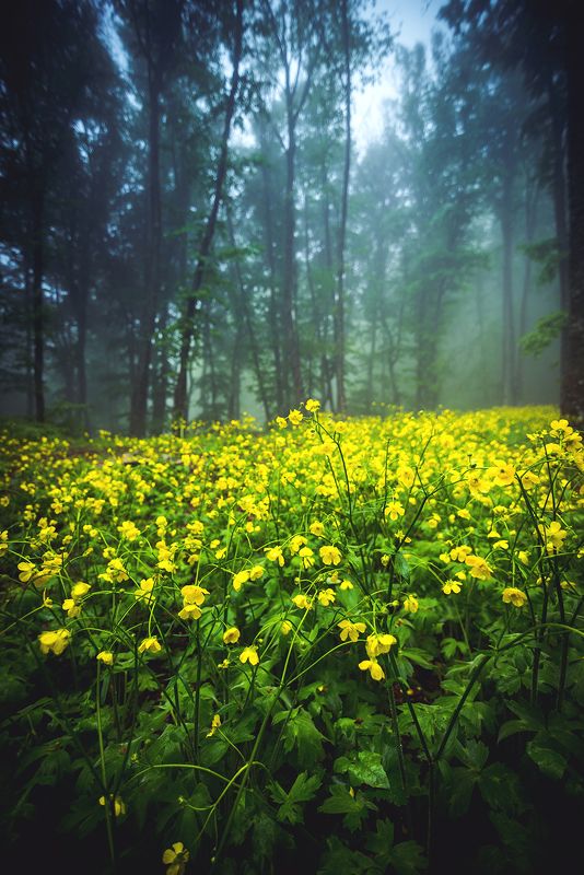 крым ***photo preview