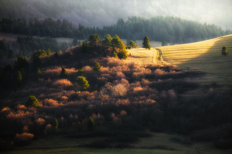 Somewhere on the trail. фото превью