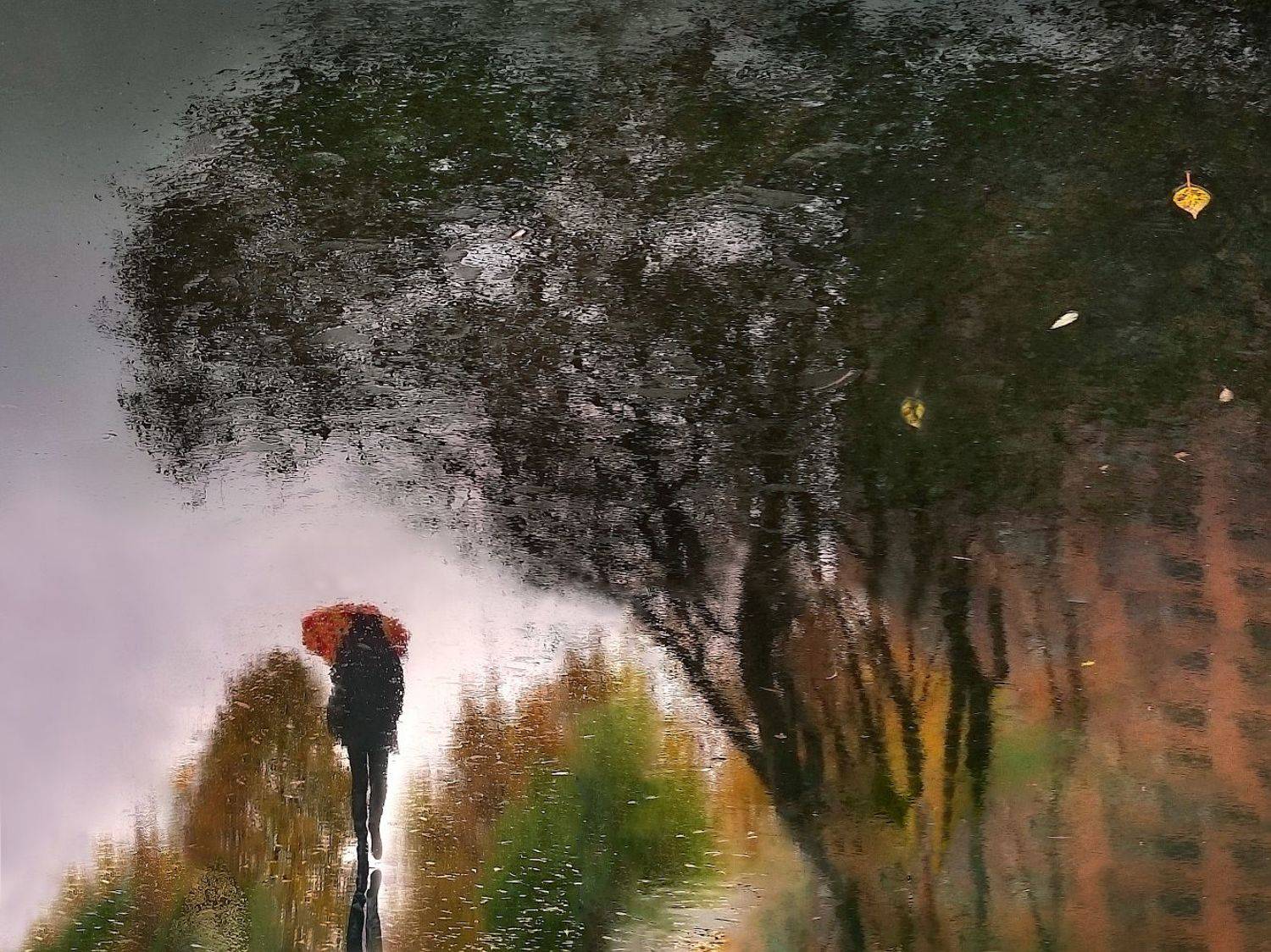 Ноябрьский сплин.... Автор: Ирина Заколдаева отражение, мокрый асфальт, Ирина Заколдаева