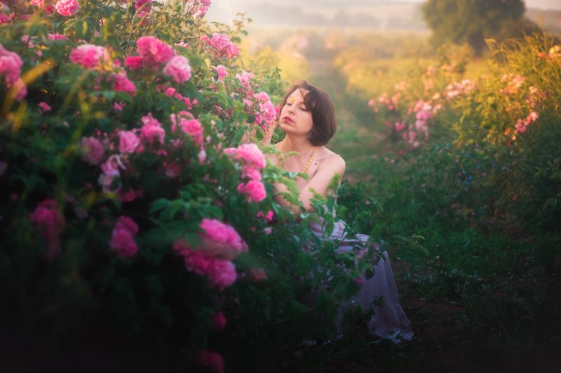 Розовый рассветphoto preview