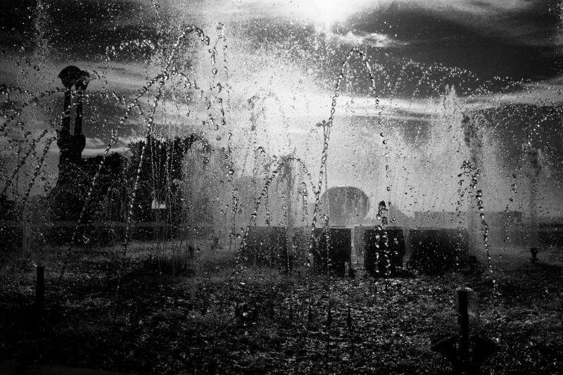 Вакханалия капельphoto preview