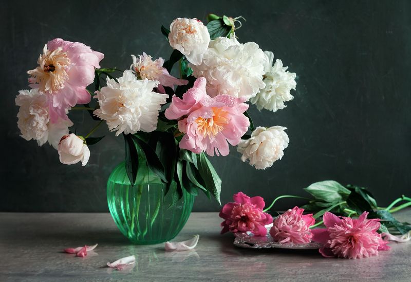 натюрморт, пионы, лето, цветы, капли Пионная летняя нежностьphoto preview