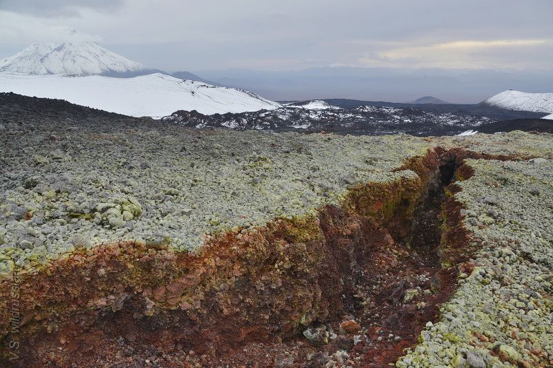 Камчатка, Россия, вулкан, Толбачик, трещина, извержение, кратер, приключение, путешествие, шагнивнеизведанное Камчатка (из цикла)photo preview