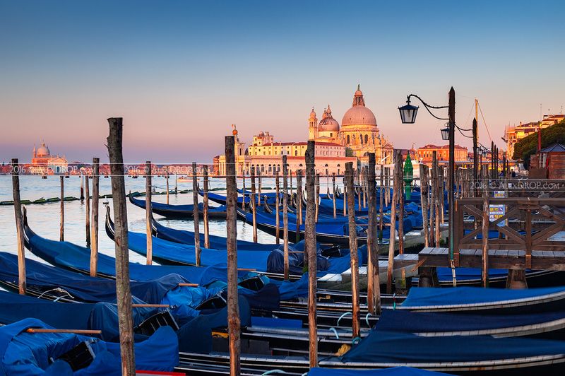 Salute at golden hourphoto preview