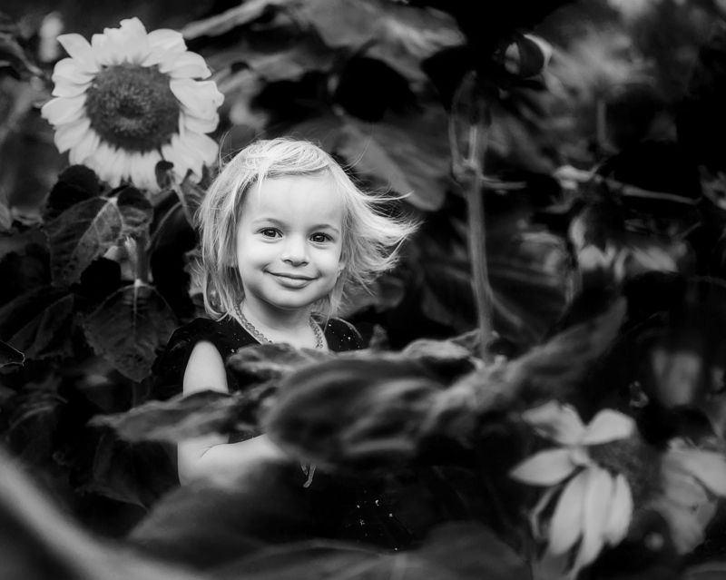 В подсолнухахphoto preview