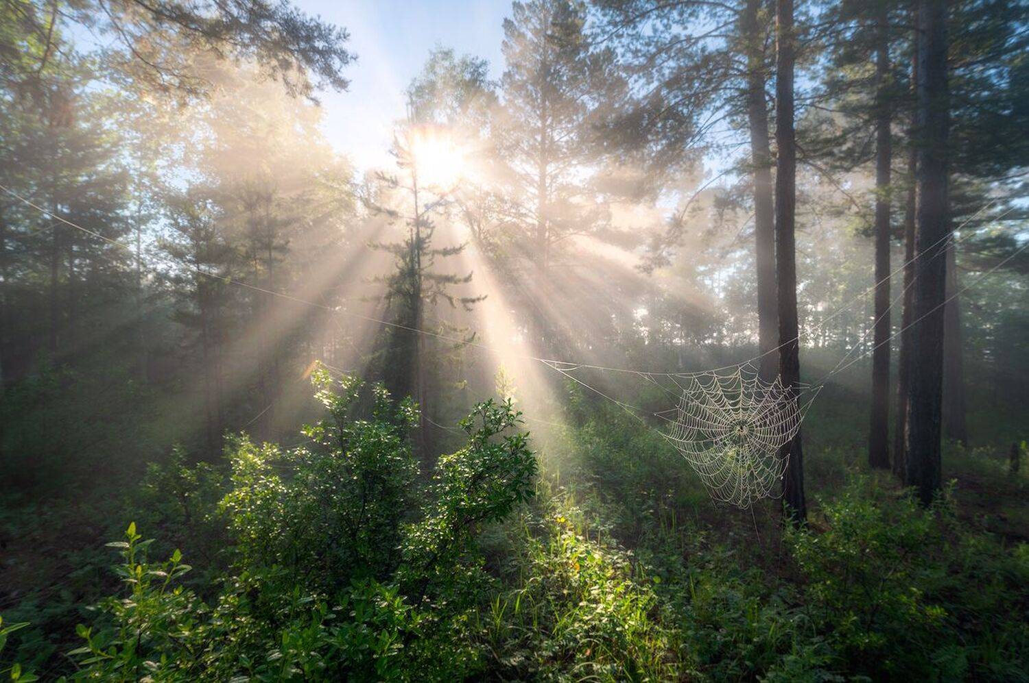 , Сергей Брагин