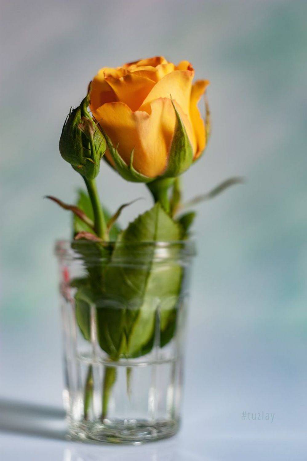 , Владимир Тузлай