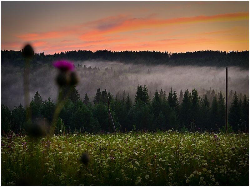 На закате после дождяphoto preview