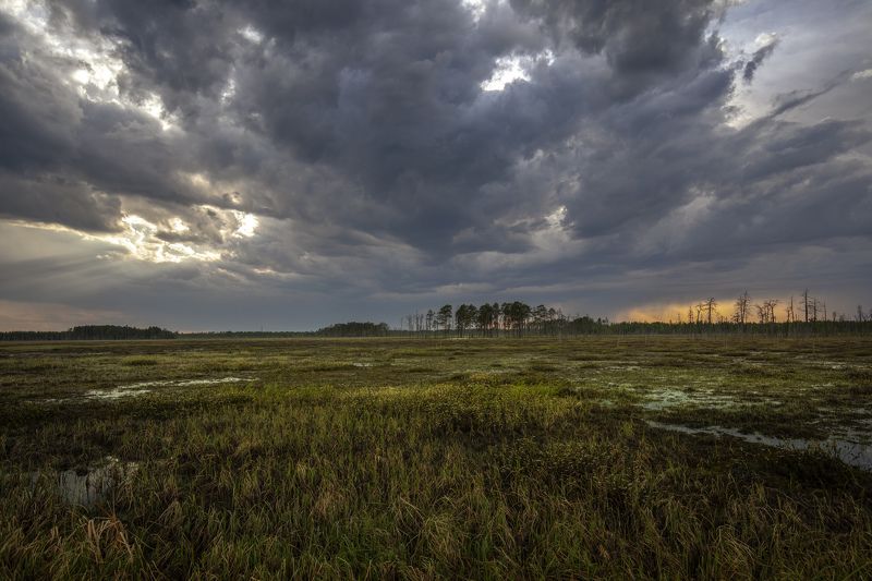 ... фото превью