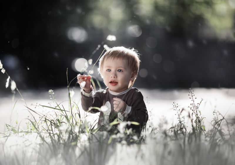 ребенок, мальчик, пух, боке, лето Пушистый мирphoto preview