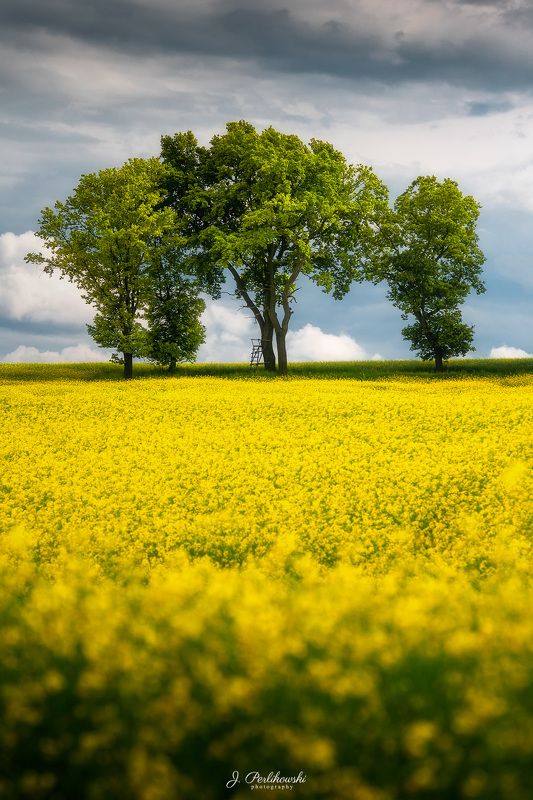 Spring vibesphoto preview