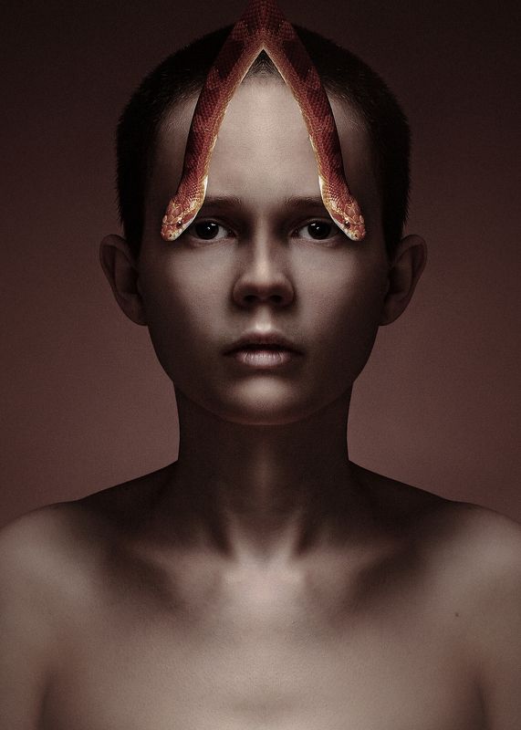 змея портрет зеркальный Зеркальный портрет со змеямиphoto preview