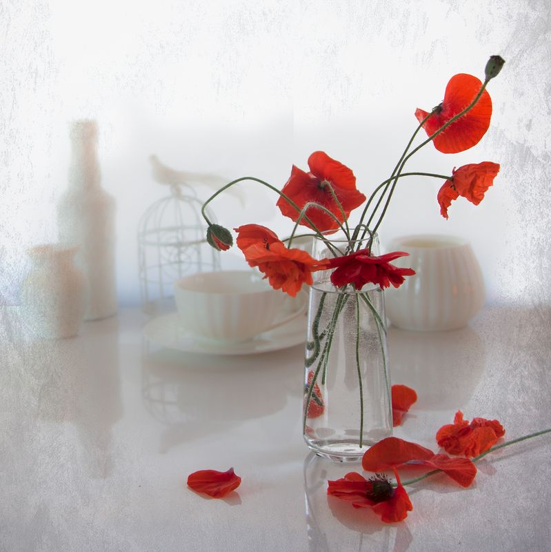 О маковых лепесткахphoto preview