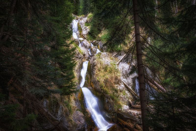 природа России, Архыз В сказочном лесу.photo preview