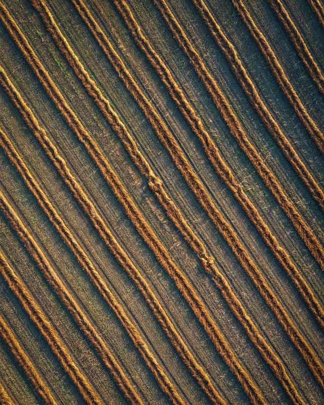 Полеphoto preview