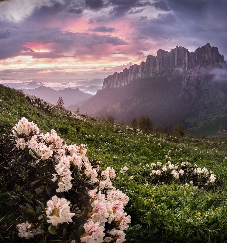 закат, большой тхач, кавказ, адыгея, весна, рододендрон Многоликий Большой Тхачphoto preview