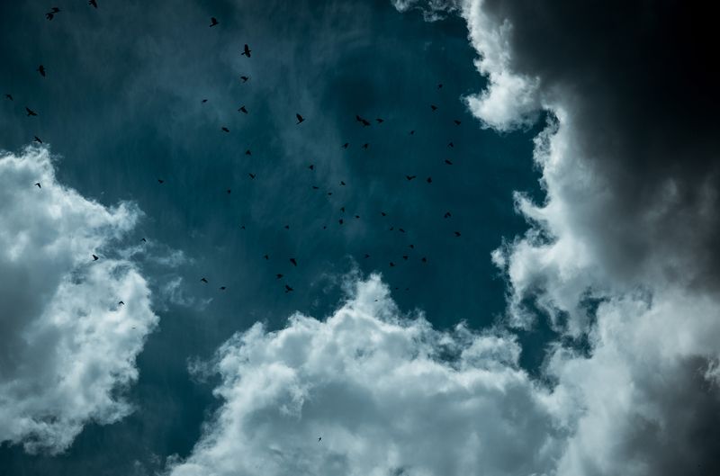 clouds sky stars birds white dark blue  Shadow Hunter фото превью