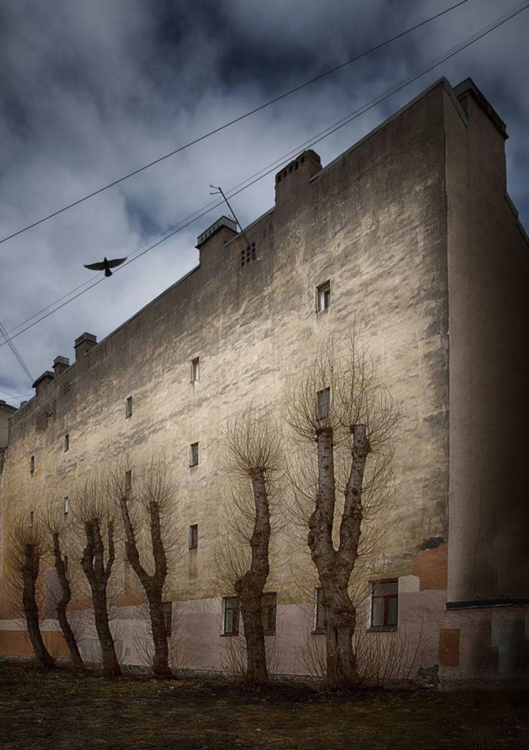 Охраняя дом.... Автор: Ирина Заколдаева , Ирина Заколдаева