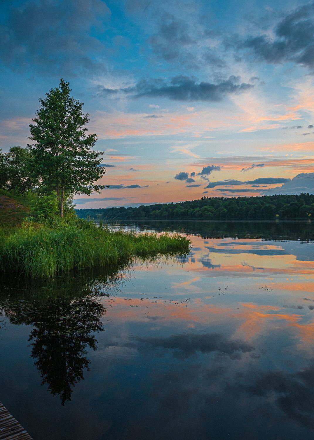 Summer. Автор: Дмитрий Рябцев , Дмитрий Рябцев