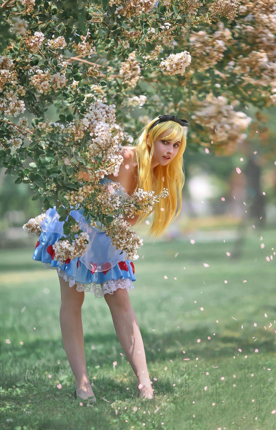 Where is the rabbit?. Автор: Larisa Korsikova , Larisa Korsikova