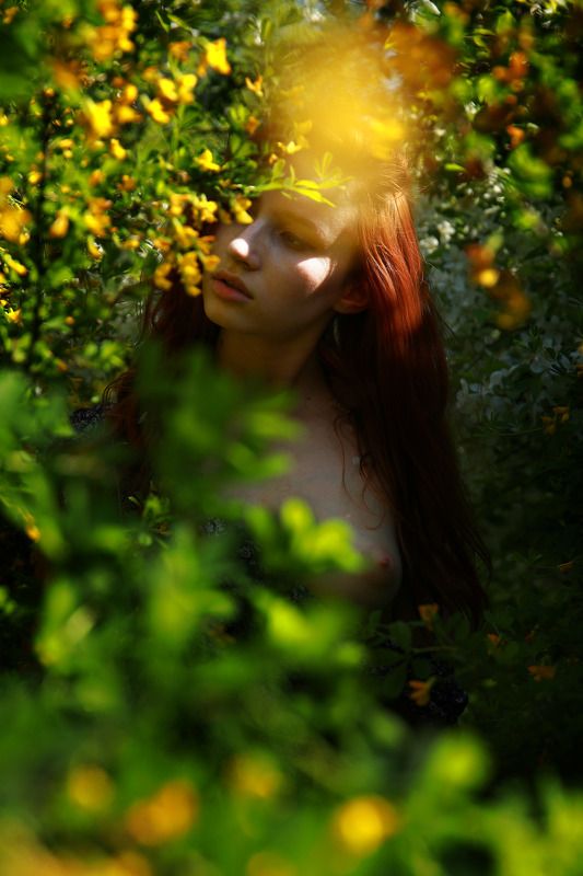 фотограф,павелтроицкий,ню,эротика,nude,artnu,nu,фотосессия,натура,лето,цветы Дианаphoto preview