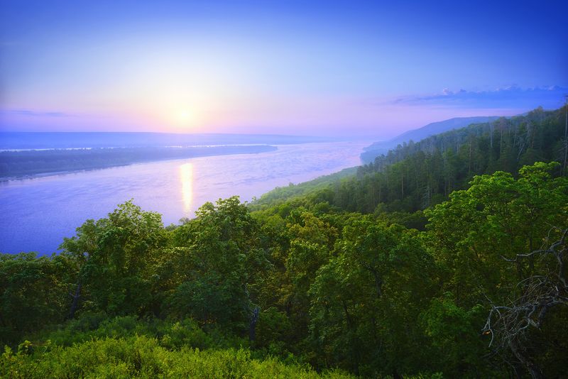 Июнь. Цветёт липа.photo preview